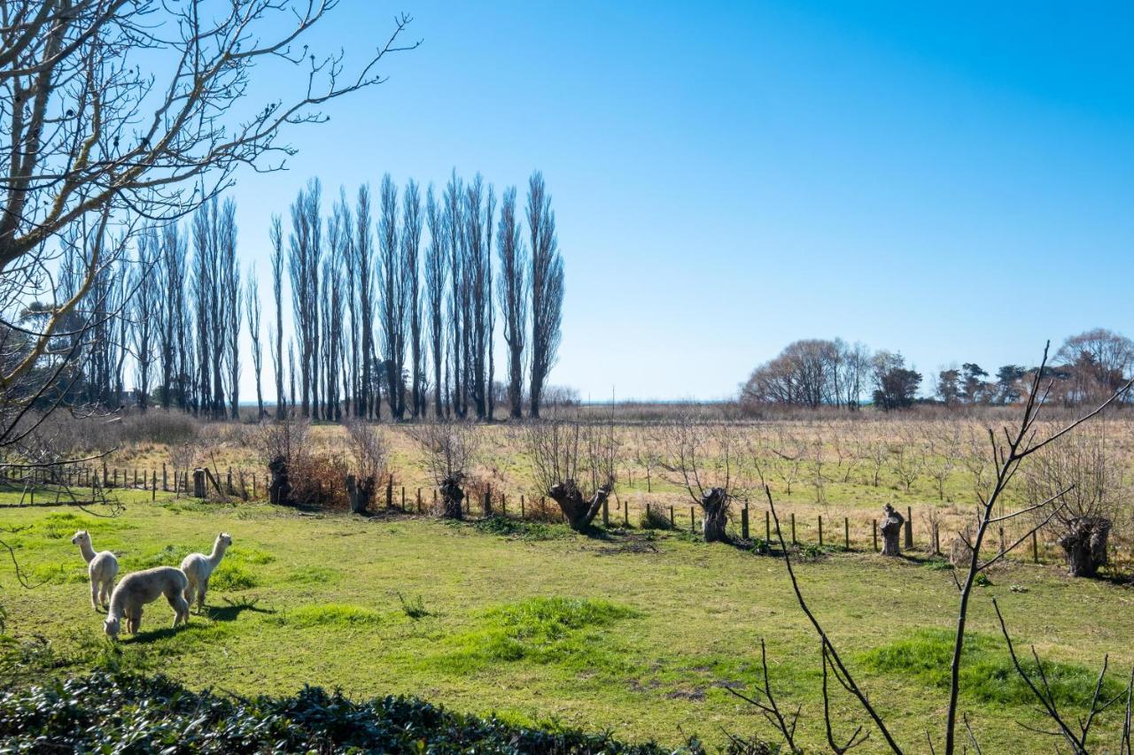 Te Awanga Cottages Exteriör bild