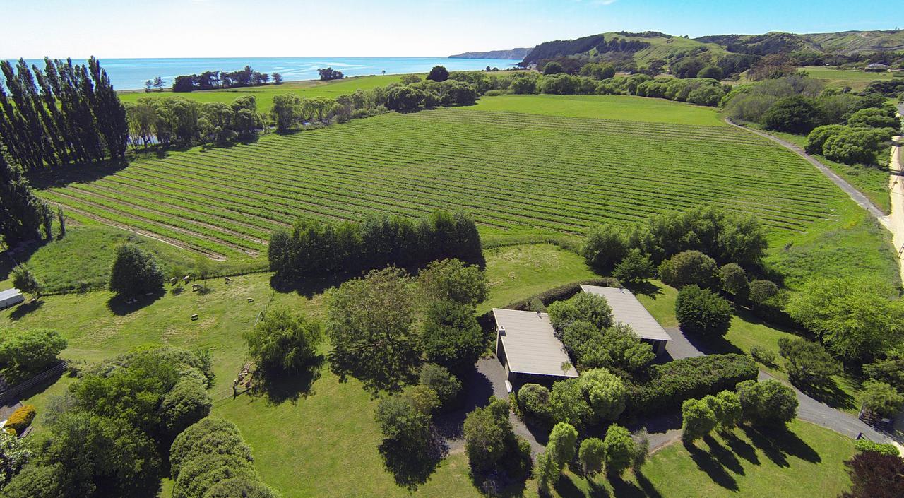Te Awanga Cottages Exteriör bild